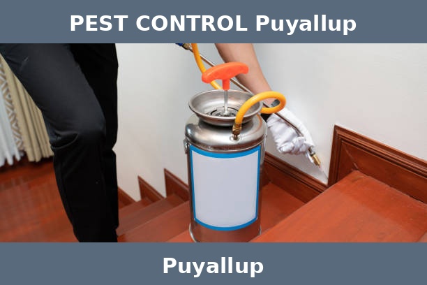 PEST CONTROL Puyallup